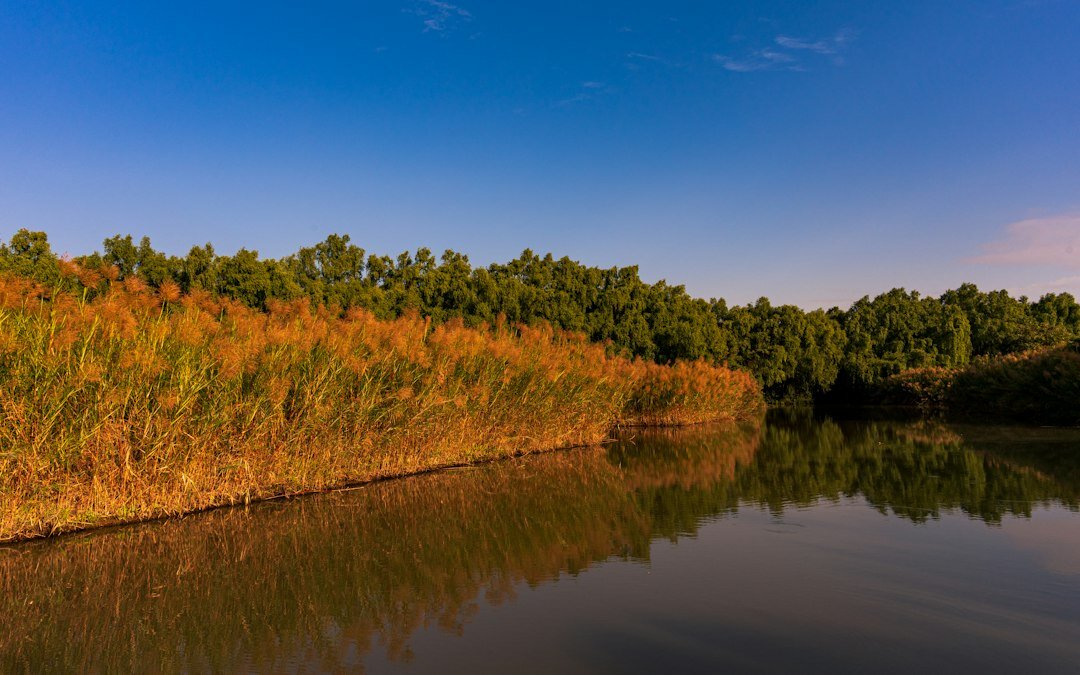 environmental protection