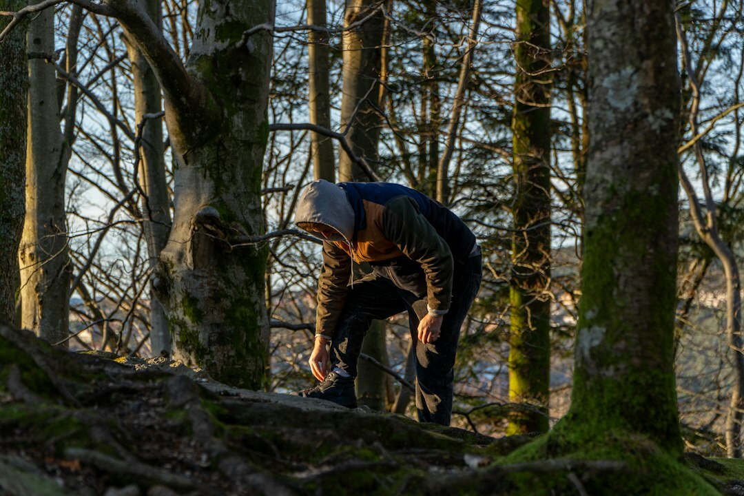 person planting tree in forest